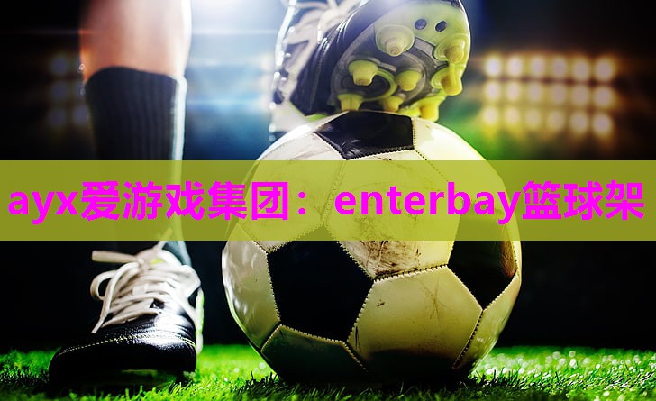 enterbay篮球架