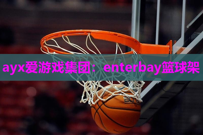 enterbay篮球架