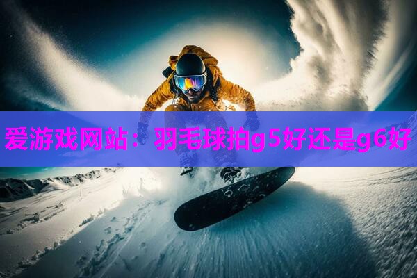 羽毛球拍g5好还是g6好