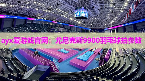 尤尼克斯9900羽毛球拍参数