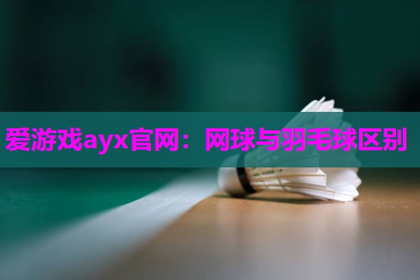网球与羽毛球区别