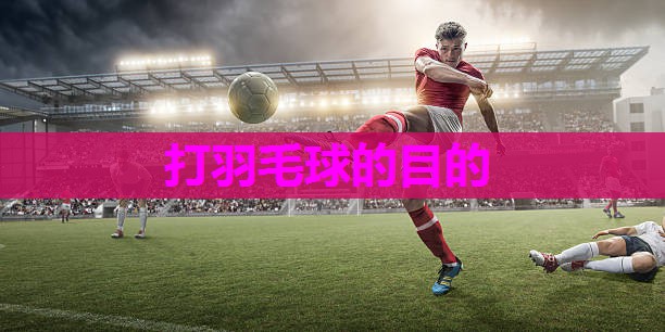 打羽毛球的目的