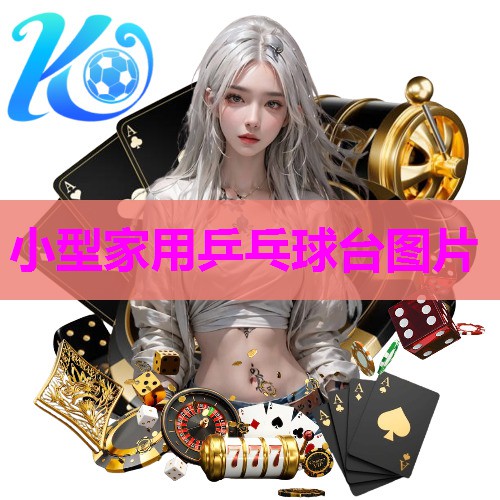 小型家用乒乓球台图片