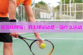 羽毛球运动是一项什么运动